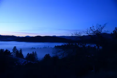 DSC_1082 (Large).JPG